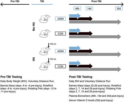 Frontiers Omega 3 Fatty Acids and Vitamin D Decrease Plasma T